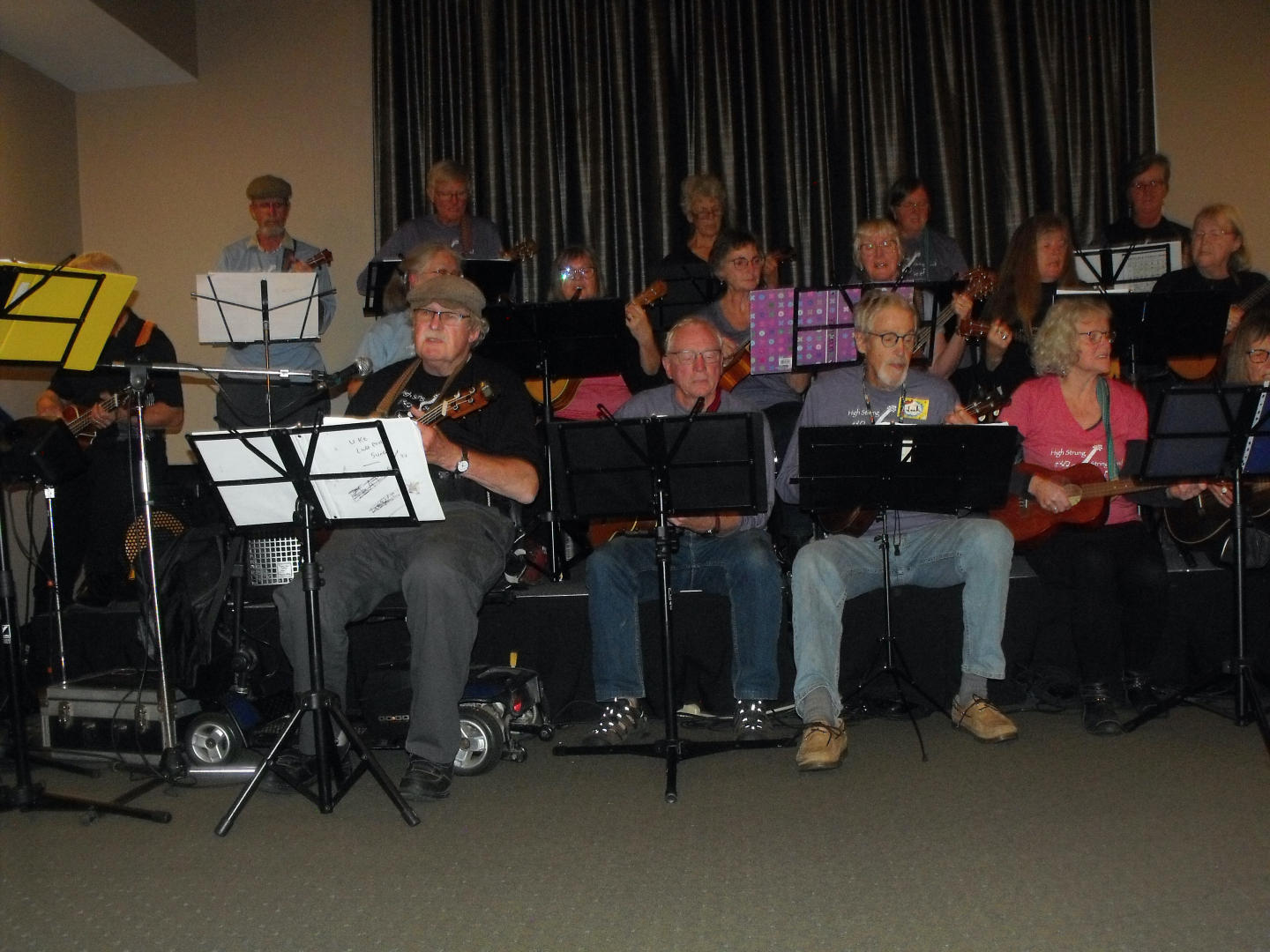 Hi Strung String Band - Strut and Strum participant